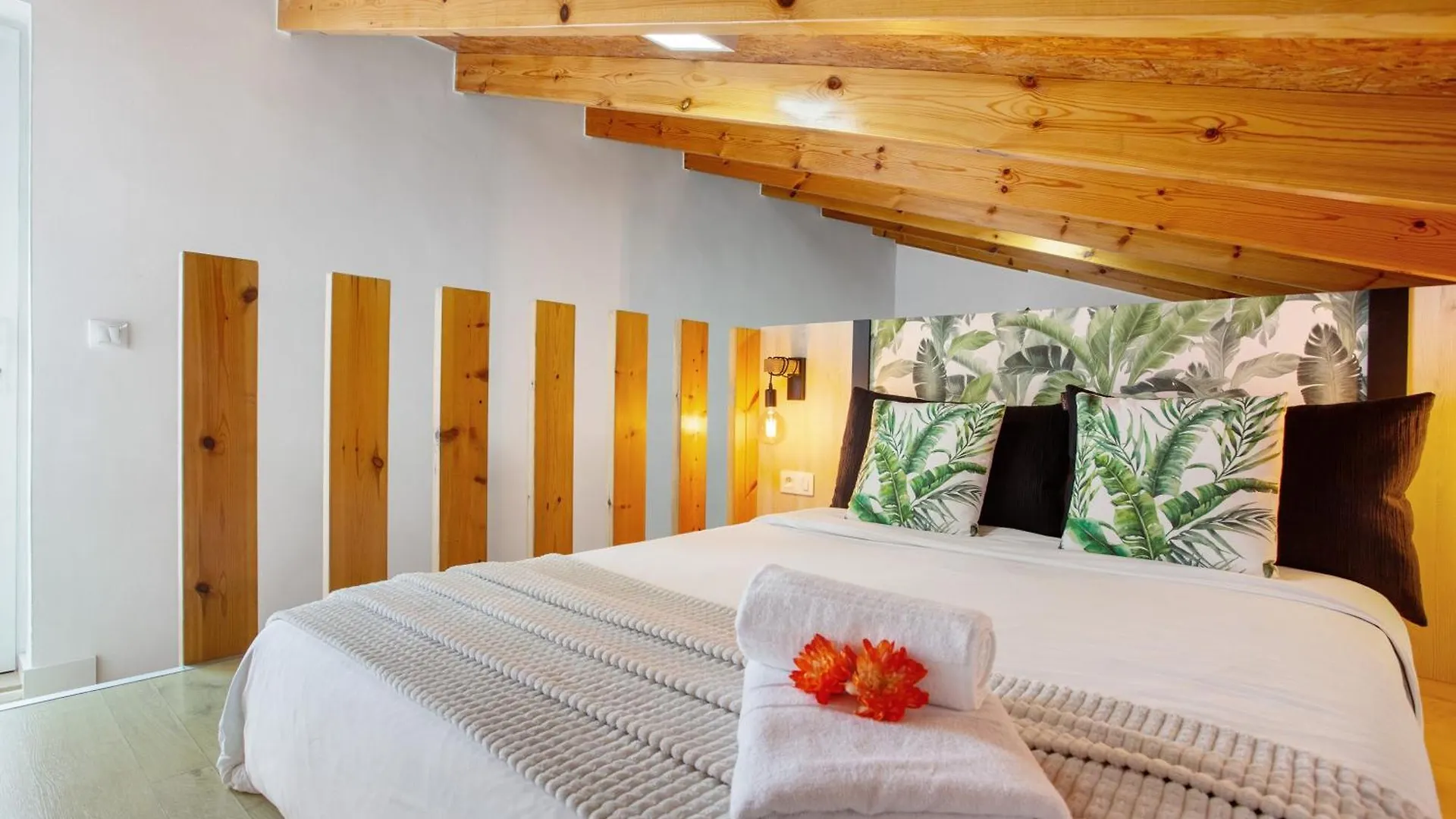 Casa Adayeim 1 Villa Icod De Los Vinos