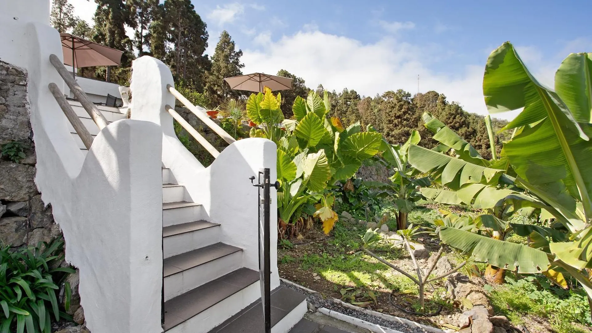 Casa Adayeim 1 Villa Icod De Los Vinos Holiday home